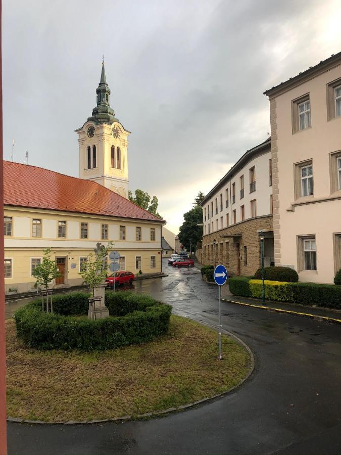 Villa Magdalena Kutná Hora Zewnętrze zdjęcie
