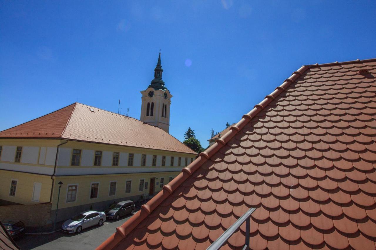 Villa Magdalena Kutná Hora Zewnętrze zdjęcie